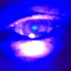 Meet your Posher, Peter